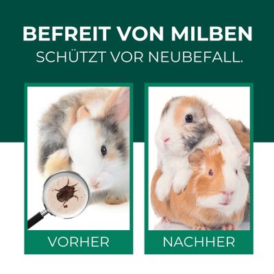 SILBERKRAFT Spray anti-acariens pour lapins/hares
