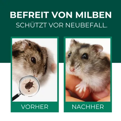 SILBERKRAFT Spray anti-acariens pour hamsters