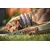 Bestia Custom Dog Gear - Collier Candy