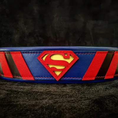 Bestia Custom Dog Gear - Le collier Superman
