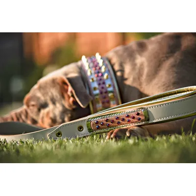 Bestia Custom Dog Gear - Collier Candy