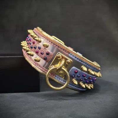 Bestia Custom Dog Gear - Collier Candy