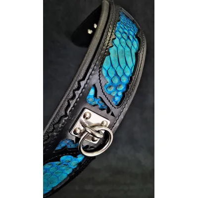 Bestia Custom Dog Gear - Le collier Morelia Python