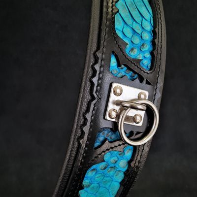 Le collier Morelia Python