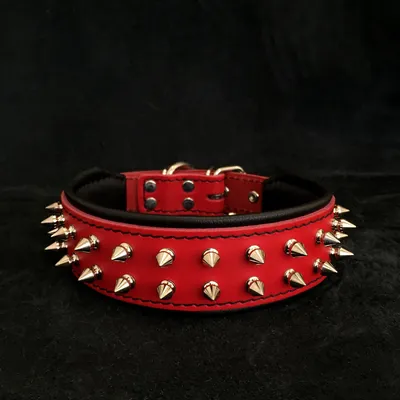 Bestia Custom Dog Gear - Le collier rouge et noir Frenchie Bestia Custom Dog Gear - Le collier rouge et noir Frenchie