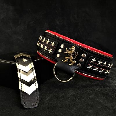 L'unique collier de chien en cuir Général pour gros chiens