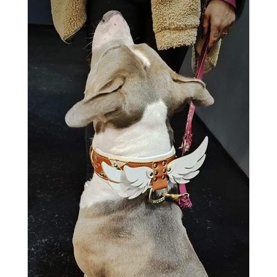 Hermes-Halsband