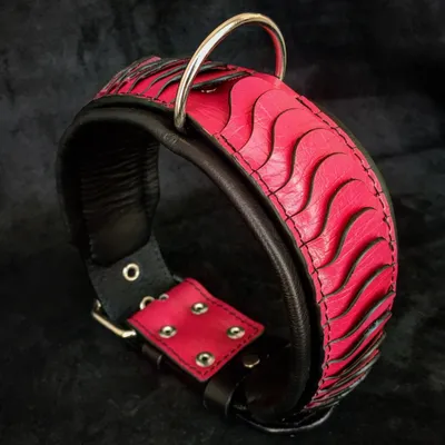 Bestia Custom Dog Gear - Le collier pour la colonne vertébrale Bestia Custom Dog Gear - Le collier pour la colonne vertébrale