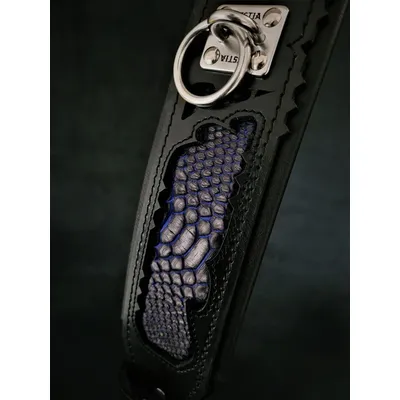 Bestia Custom Dog Gear - Le collier Indigo