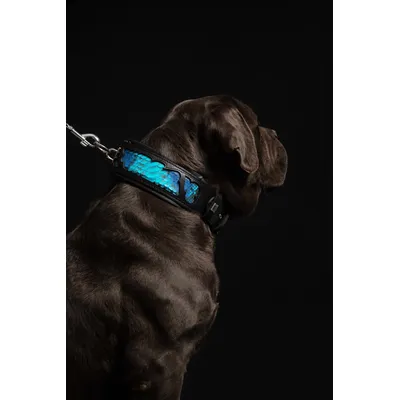 Bestia Custom Dog Gear - Le collier Morelia Python