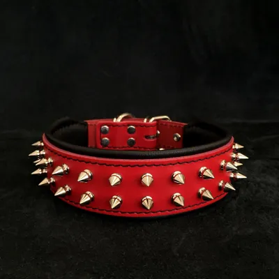 Collier Frenchie rouge Collier Frenchie rouge