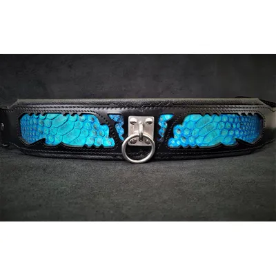 Bestia Custom Dog Gear - Le collier Morelia Python