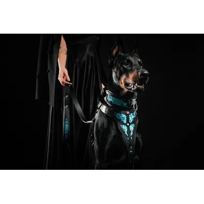 Bestia Custom Dog Gear - Le collier Morelia Python