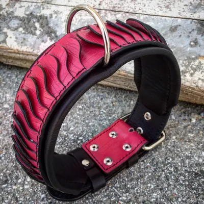 Bestia Custom Dog Gear - Le collier pour la colonne vertébrale