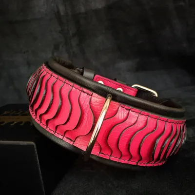 Bestia Custom Dog Gear - Le collier pour la colonne vertébrale