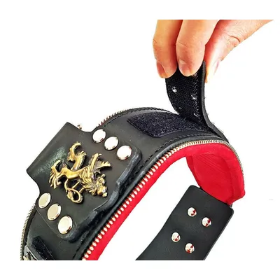L'unique collier de chien en cuir Général pour gros chiens L'unique collier de chien en cuir Général pour gros chiens