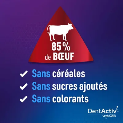 Vetocanis, Bâtonnets Hygiène Bucco-Dentaire pour Chien 15kg +, DentActiv