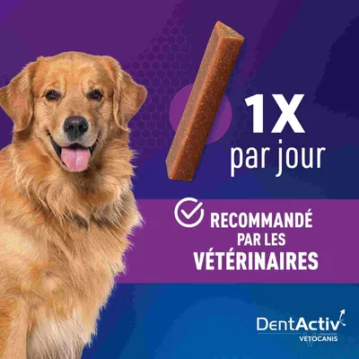 Vetocanis, Bâtonnets Hygiène Bucco-Dentaire pour Chien 15kg +, DentActiv
