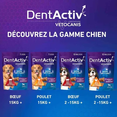 Vetocanis, Bâtonnets Hygiène Bucco-Dentaire pour Chien 15kg +, DentActiv