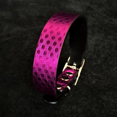 Bestia Custom Dog Gear - Le collier pour chiot Corfu Bestia Custom Dog Gear - Le collier pour chiot Corfu