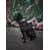 Bestia Custom Dog Gear - Le collier Buffalo