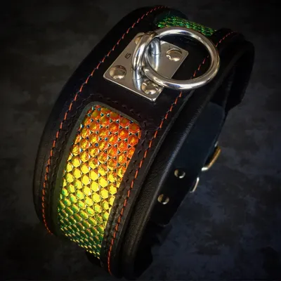 Bestia Custom Dog Gear - Le collier D'Albertis Bestia Custom Dog Gear - Le collier D'Albertis