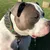 Bestia Custom Dog Gear - Collier Chameleon Limited