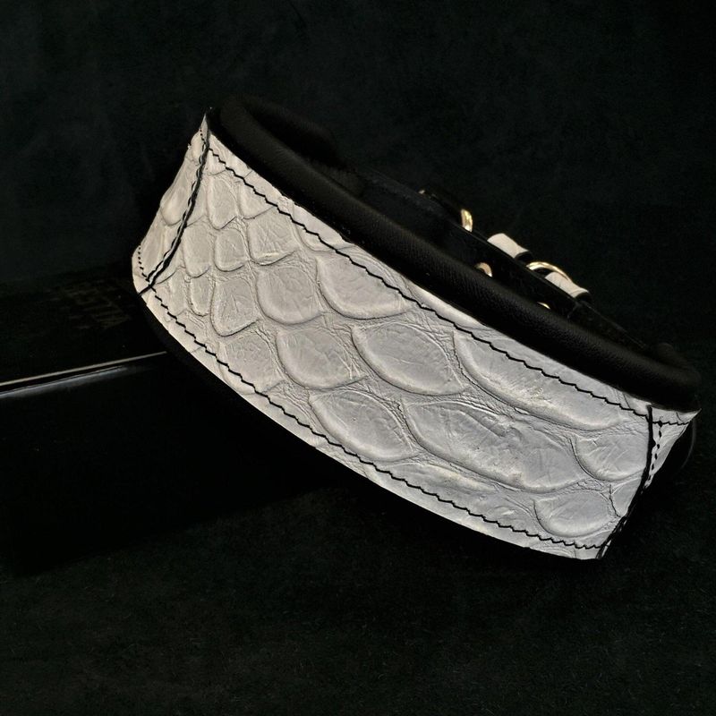 Das Dragon Scale Halsband
