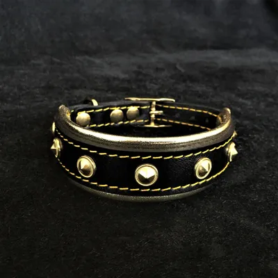 Bestia Custom Dog Gear - Le Maxi Collier Bestia Custom Dog Gear - Le Maxi Collier