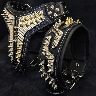 Das Platinum Halsband Das Platinum Halsband