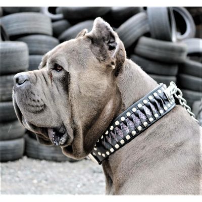 Steampunk Halsband