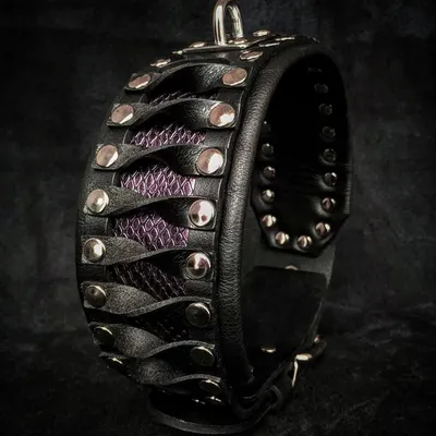 Bestia Collier pour chien Steampunk