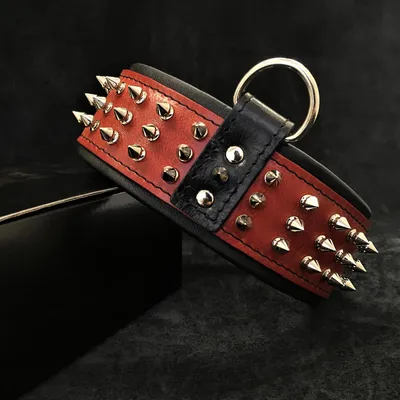 Bestia Custom Dog Gear - Le collier rouge géant argenté Bestia Custom Dog Gear - Le collier rouge géant argenté