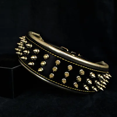 Bestia Custom Dog Gear - Le collier géant en or Bestia Custom Dog Gear - Le collier géant en or