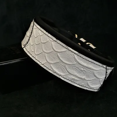 Bestia Collier pour chien Dragon Scale