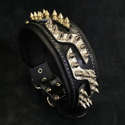 Le collier Platine