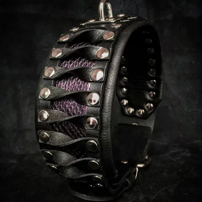 Bestia Custom Dog Gear - Le collier Steampunk au design exclusif Bestia Custom Dog Gear - Le collier Steampunk au design exclusif