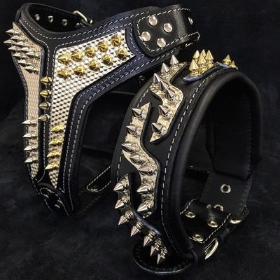 Das Platinum Halsband