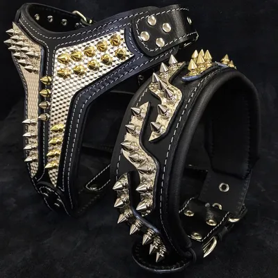 Bestia Custom Dog Gear - Le collier en platine