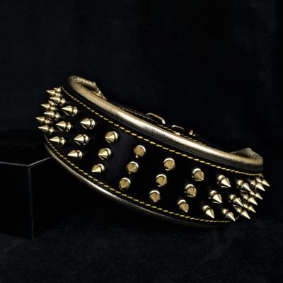 Le collier Géant d'or