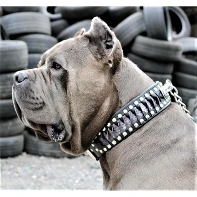 Steampunk Halsband