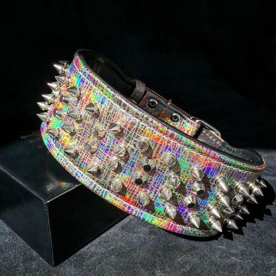 Collier pour gros chien Caméléon LIMITED
