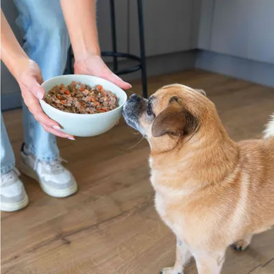 Dog Chef Frisch gekochtes Hundefutter – Rind & Huhn – 100 % natürlich
