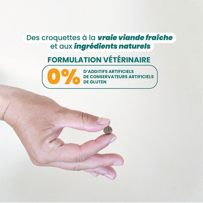 Dog Chef Croquettes Naturelles au Canard Frais pour chien