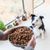 Dog Chef Croquettes Naturelles au Canard Frais pour chien