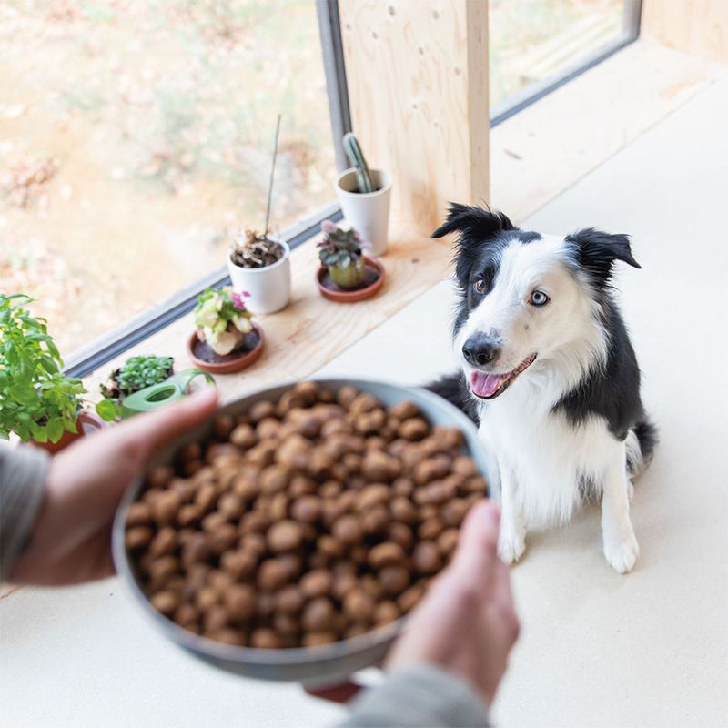 Dog Chef Croquettes Naturelles au Canard Frais pour chien