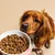 Dog Chef Croquettes Naturelles au Poulet Frais pour chien Dog Chef Croquettes Naturelles au Poulet Frais pour chien