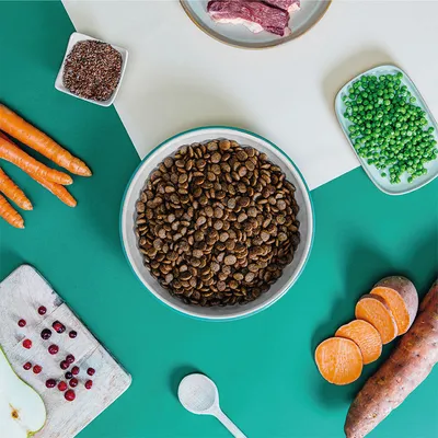 Dog Chef Croquettes Naturelles au Canard Frais pour chien