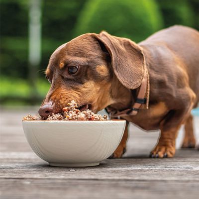 Dog Chef Frisch gekochtes Hundefutter – Huhn – 100 % natürlich