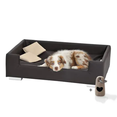 Rohrschneider Canapé pour chien rembourré avec pieds chromés